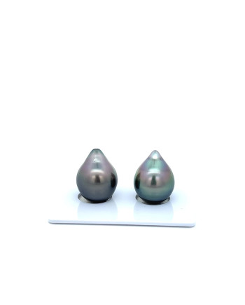 12mm+ fine  grade Tahitian Black Pearl, French Polynesia  
