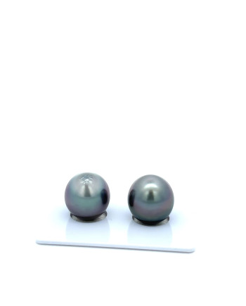 12mm+ gem  grade Tahitian Black Pearl, French Polynesia  