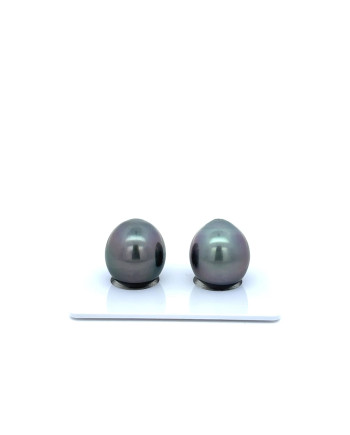 12mm+ gem  grade Tahitian Black Pearl, French Polynesia  