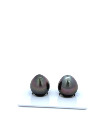 12mm+ gem  grade Tahitian Black Pearl, French Polynesia  