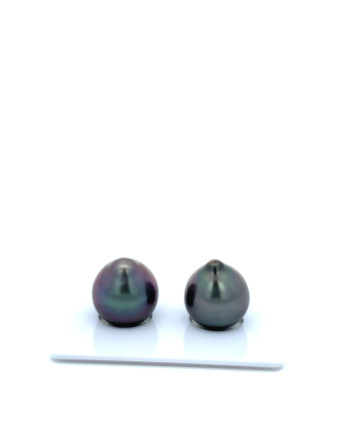 12mm+ gem  grade Tahitian Black Pearl, French Polynesia  