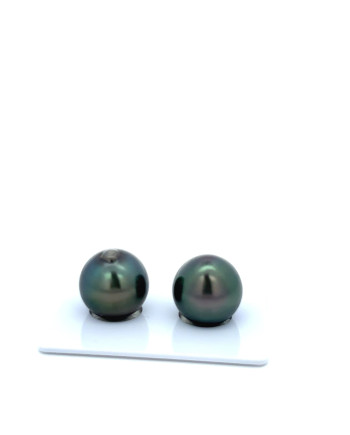 12mm+ gem  grade Tahitian Black Pearl, French Polynesia  