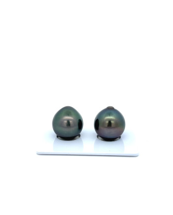 12mm+ gem  grade Tahitian Black Pearl, French Polynesia  