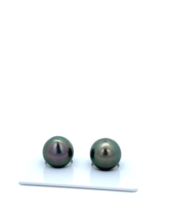 9mm+ fine  grade Tahitian Black Pearl, French Polynesia  