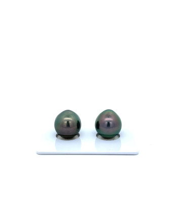 9mm+ fine  grade Tahitian Black Pearl, French Polynesia  