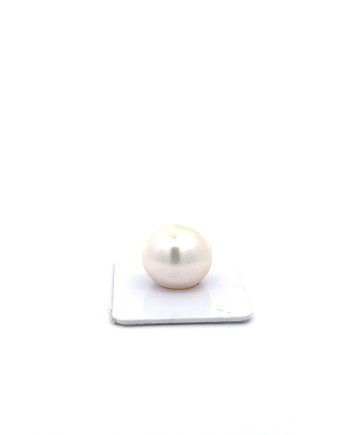 15mm+ fine  grade South Sea Pearl, Australia