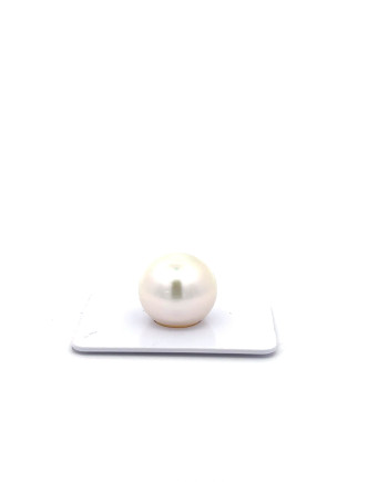 15mm+ fine  grade South Sea Pearl, Australia