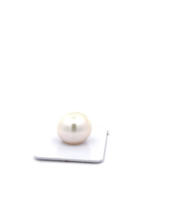 15mm+ fine  grade South Sea Pearl, Australia
