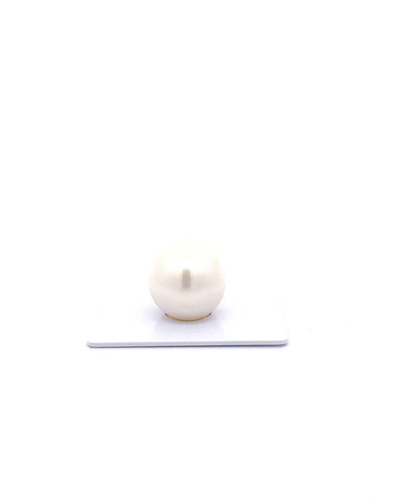 15mm+ gem  grade South Sea Pearl, Australia