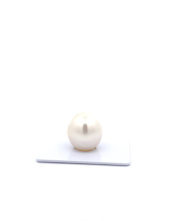 15mm+ fine  grade South Sea Pearl, Australia