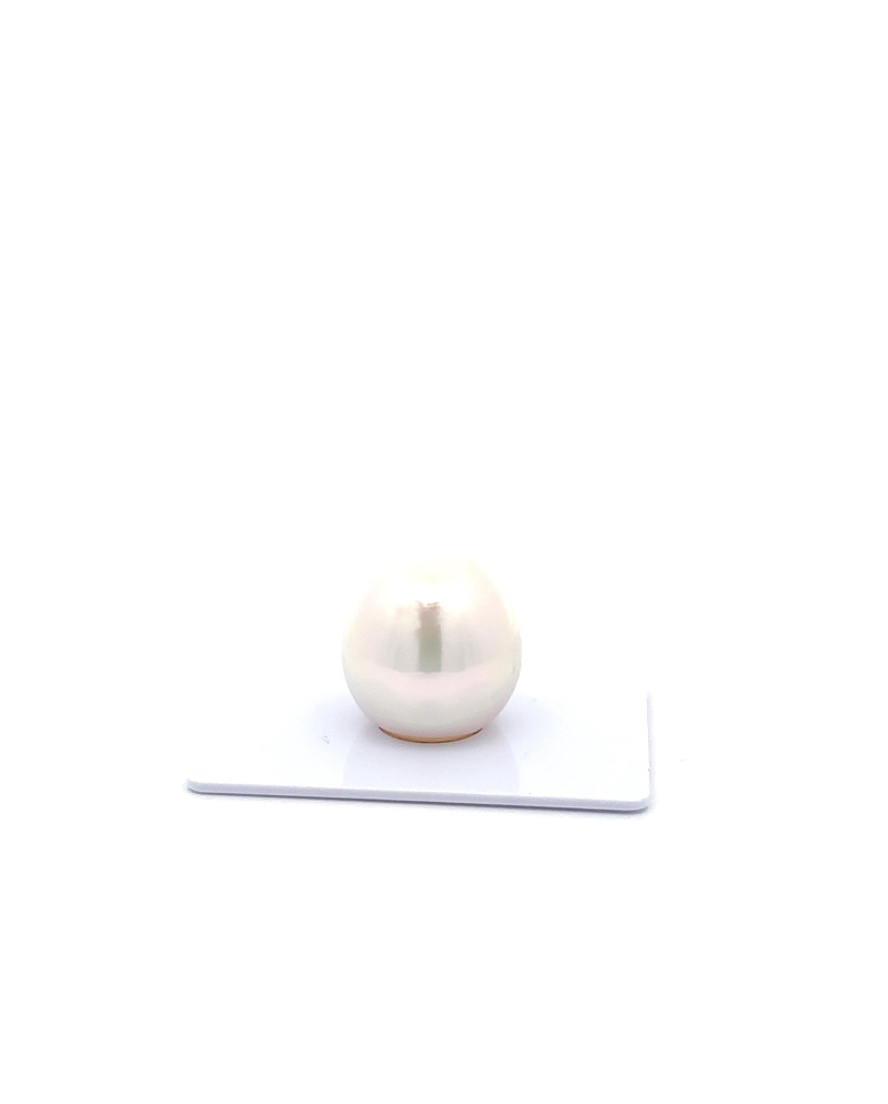 15mm+ fine  grade South Sea Pearl, Australia