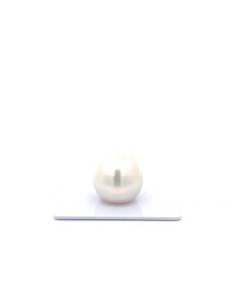 15mm+ fine  grade South Sea Pearl, Australia
