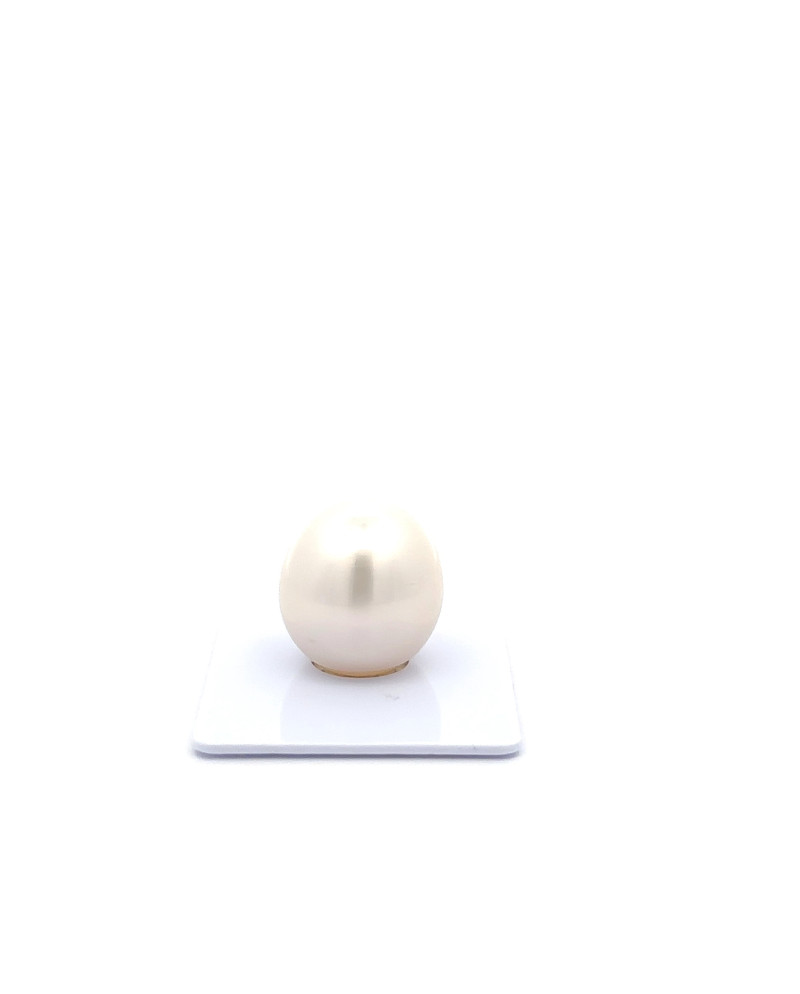 15mm+ fine  grade South Sea Pearl, Australia