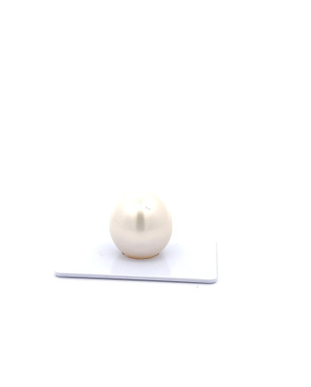 15mm+ fine  grade South Sea Pearl, Australia