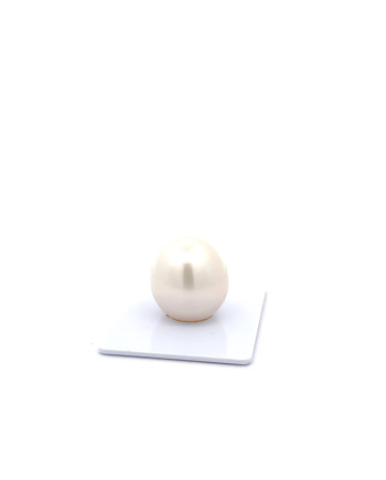 15mm+ fine  grade South Sea Pearl, Australia
