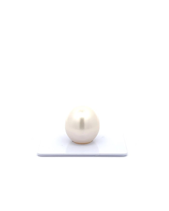 15mm+ fine  grade South Sea Pearl, Australia