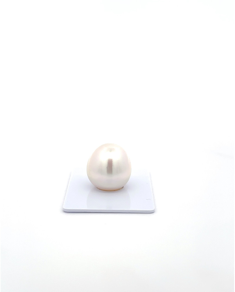 15mm+ gem  grade South Sea Pearl, Australia
