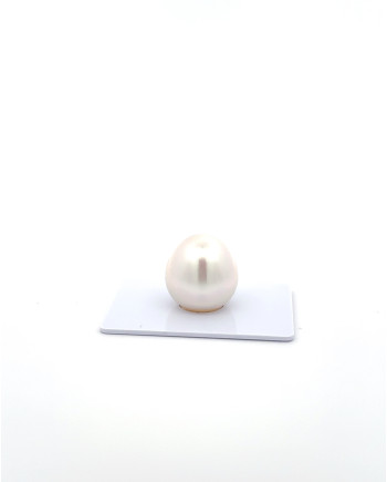 15mm+ gem  grade South Sea Pearl, Australia