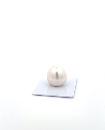 15mm+ gem  grade South Sea Pearl, Australia