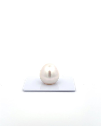 15mm+ gem  grade South Sea Pearl, Australia