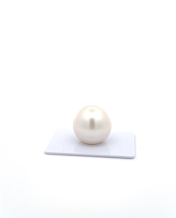 15mm+ gem  grade South Sea Pearl, Australia