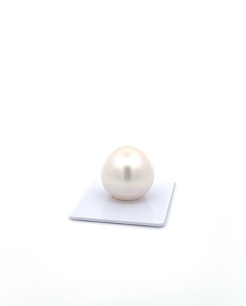 15mm+ gem  grade South Sea Pearl, Australia