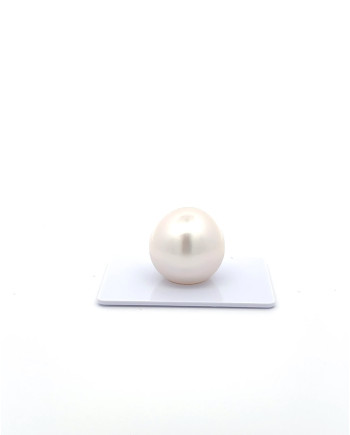 15mm+ gem  grade South Sea Pearl, Australia