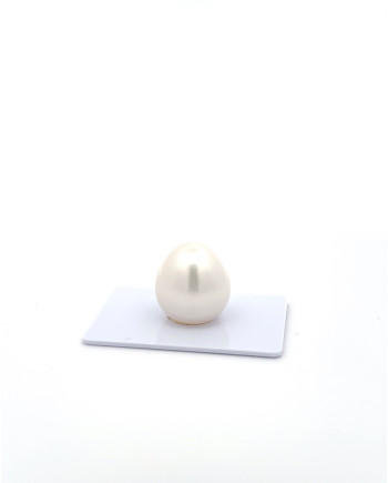 15mm+ gem  grade South Sea Pearl, Australia