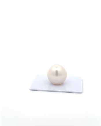 15mm+ gem  grade South Sea Pearl, Australia