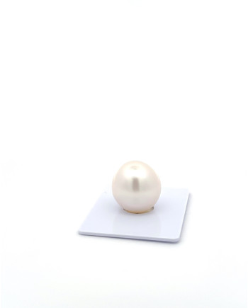 15mm+ gem  grade South Sea Pearl, Australia