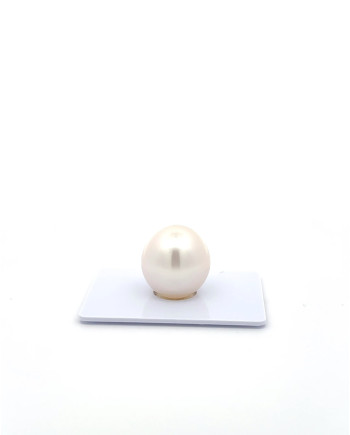 15mm+ gem  grade South Sea Pearl, Australia