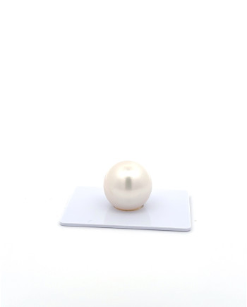 15mm+ gem  grade South Sea Pearl, Australia