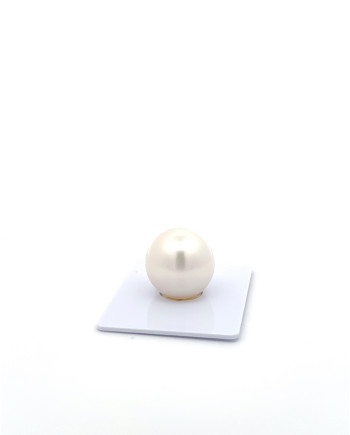 15mm+ gem  grade South Sea Pearl, Australia