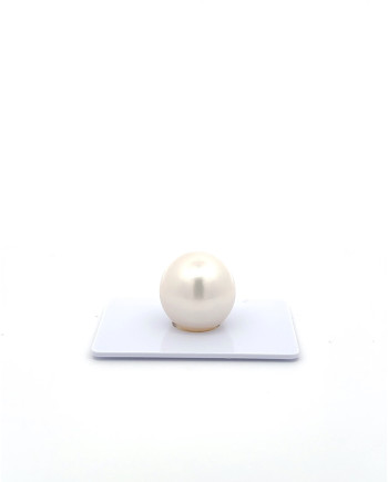 15mm+ gem  grade South Sea Pearl, Australia