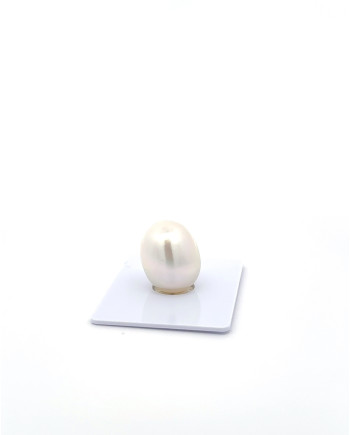 12mm+ jewel  grade South Sea Pearl, Australia