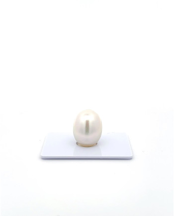 12mm+ jewel  grade South Sea Pearl, Australia