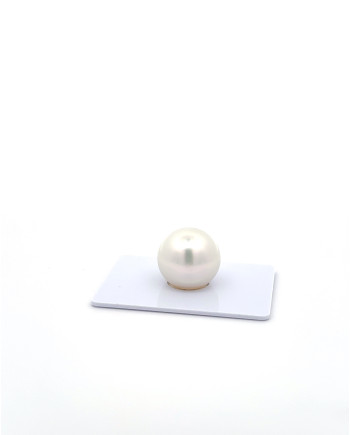 15mm+ gem  grade South Sea Pearl, Australia
