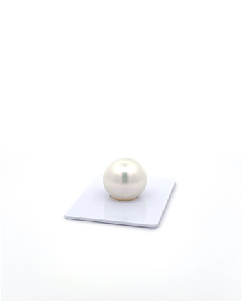 15mm+ gem  grade South Sea Pearl, Australia