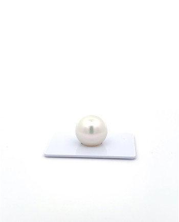 15mm+ gem  grade South Sea Pearl, Australia