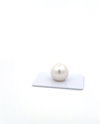 15mm+ fine  grade South Sea Pearl, Australia