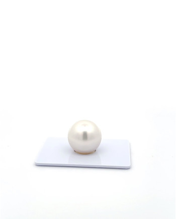 15mm+ fine  grade South Sea Pearl, Australia