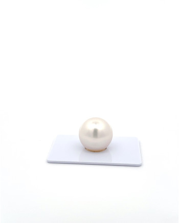 15mm+ gem  grade South Sea Pearl, Australia