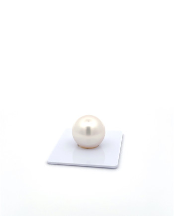 15mm+ gem  grade South Sea Pearl, Australia