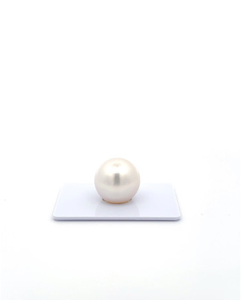 15mm+ gem  grade South Sea Pearl, Australia