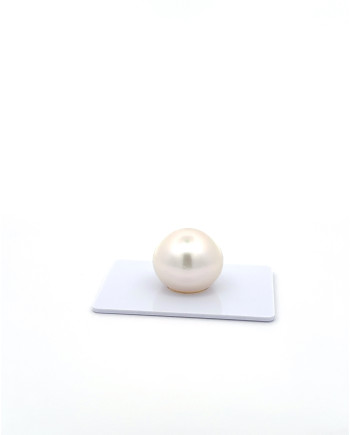 15mm+ fine  grade South Sea Pearl, Australia