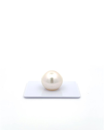 15mm+ fine  grade South Sea Pearl, Australia