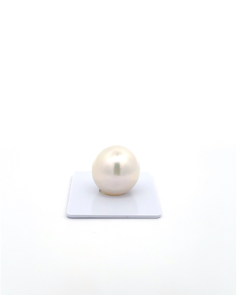 15mm+ fine  grade South Sea Pearl, Australia