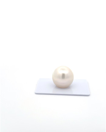 15mm+ fine  grade South Sea Pearl, Australia