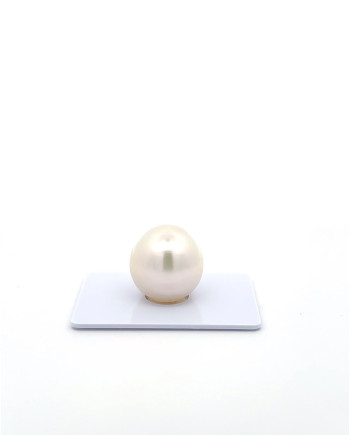 15mm+ fine  grade South Sea Pearl, Australia