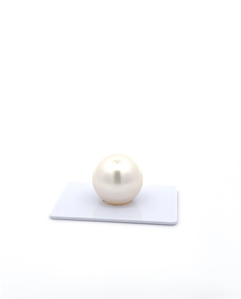 15mm+ fine  grade South Sea Pearl, Australia